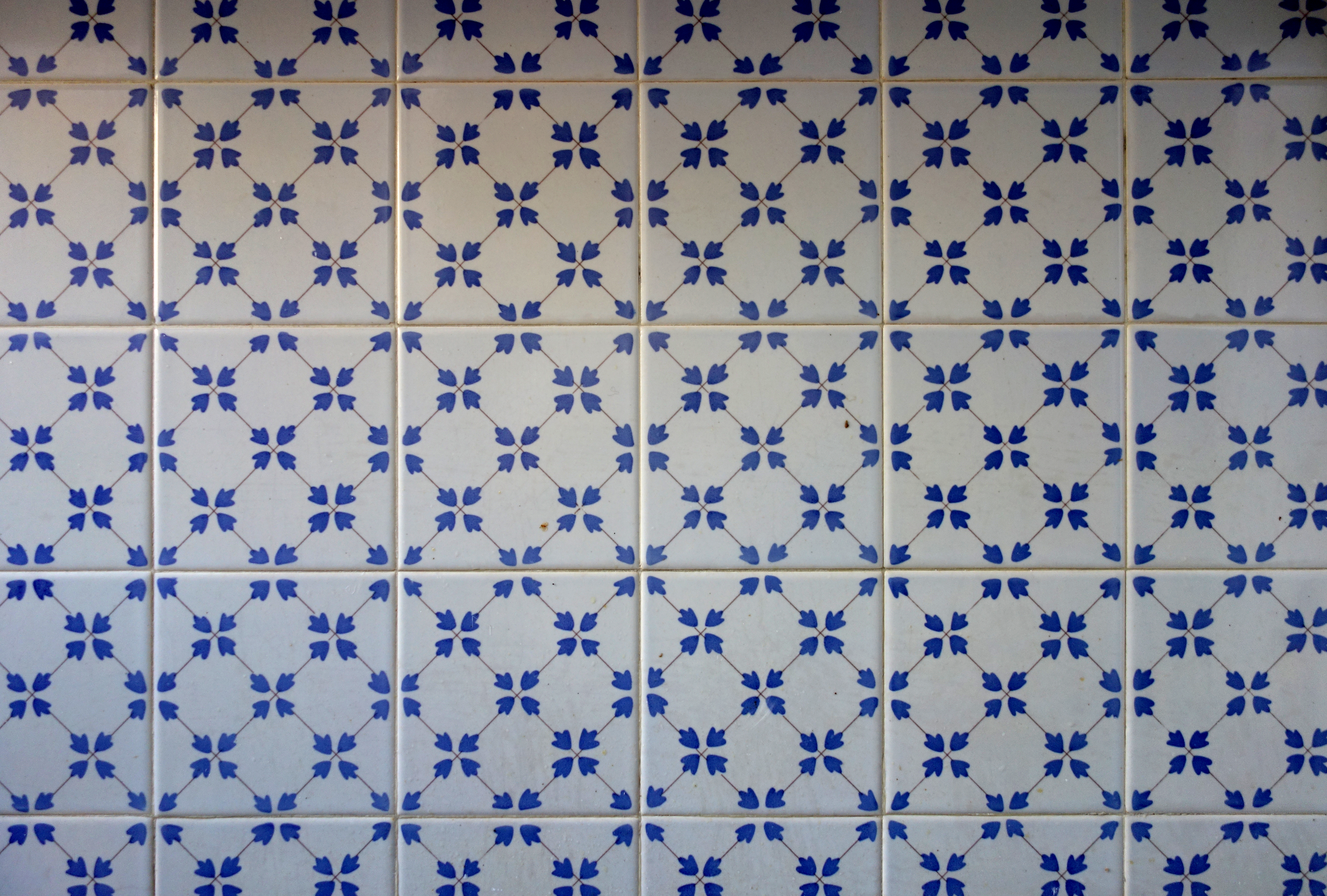 DSC00675 OK