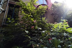 IMG_20250606_095502