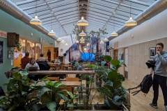 PXL_20240301_094459892